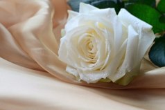 Прежде чем осуждать кого-то, возьми его обувь и пройди его путь, попробуй его слёзы, почувствуй его боль, наткнись на каждый камень, об который он споткнулся, и только после этого говори, что ты знаешь как правильно жить.