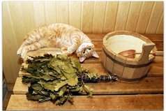 В жизни - как в бане: хочешь - парься, хочешь - нет.