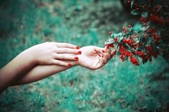 Простота — одно из лучших качеств человека.