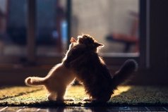 Будьте сумасшедшими, глупыми, странными. в общем, любыми, потому что жизнь слишком коротка, чтобы не быть счастливыми.