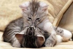 Счастье - это когда твое счастье счастливо рядом с тобой...