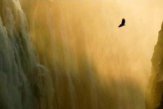 Однажды ты совершенно случайно окажешься в нужное время, в нужном месте, и миллионы дорог сойдутся в одной точке.