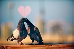 А ведь влюбляются не в красоту… Влюбляются в смех, вечно вьющиеся волосы, ямочки на щеках, родинку над губой или даже шрамик над бровью. А в красоту — нет. Красоту просто хотят.