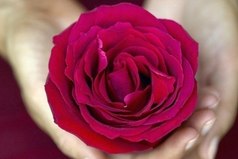 Просто хочу быть счастливой. Редко встречаться с бедой! Просто хочу быть любимой. Не оставаться одной. Просто хочу не лить слезы. От горести тяжких утрат. Просто хочу держать розы. И чувствовать их аромат!