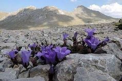 Твои ошибки — твоя сила. На кривых корнях, деревья стоят крепче.