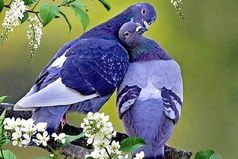 От зависти люди стареют. От обиды болеют. От злости тупеют. А от любви молодеют. Любите и будьте любимыми!