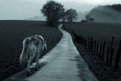 Иногда лучше быть одиноким — ведь никто не сможет сделать тебе больно.