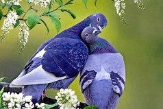 Поняла, что взрослею: блины получаются все лучше, в людей верится все меньше, старые фильмы кажутся лучше новых, по маме скучаешь все сильнее, к сердцу принимаешь все ближе, шапку надеваешь всё чаще!