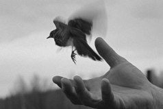 Учись отпускать - в этом секрет счастья.