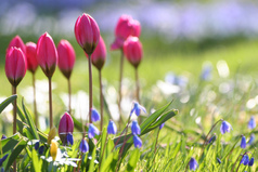 Весной дует самый что ни на есть настоящий ветер перемен, он дует так сильно, что способен принести перемены в жизнь каждого…