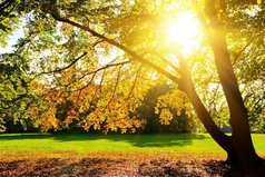 Ты должен заниматься тем, что делает тебя счастливым. Забудь о деньгах или других ловушках, которые принято считать успехом. Если ты счастлив, работая в деревенском магазине, работай. У тебя всего одна жизнь.