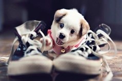 Никогда не отказывайся от того, что заставляет тебя улыбаться.