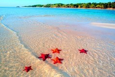 Работа, работа, перейди на Федота: стирка - на Ирку, глажка - на Машку, готовка - на Вовку, а мне - на море путевку!