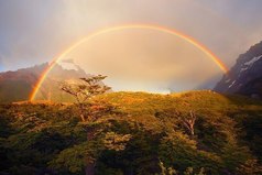 Что бы увидеть радугу, нужно пережить дождь.