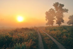 Человек бежит по жизни не жалея ног. Дом-работа, дом-работа отбывая срок. Выходные-передышка, отпуск, как привал. Старость, пенсия, отдышка. А куда бежал?