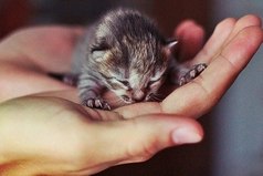 Не верь тому, кто говорит красиво, в его словах всегда игра. Поверь тому, кто молчаливо, творит красивые дела.