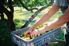 Мне нравится постоянно быть занятым, нравится постоянно что-то делать. Это дает мне ощущение того, что я не трачу свою жизнь впустую