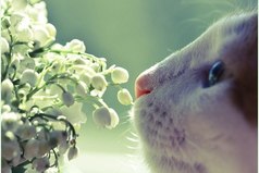 Ты никогда не опоздаешь туда, где тебя ждут.