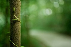 Когда оба пути ошибочны, ты должен выбрать третий. И если его нет, то должен его создать.