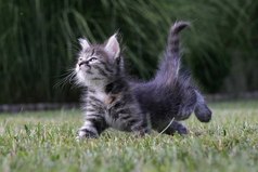 Относитесь ко всему с позитивом, если вас кто-то послал - почувствуйте себя важным посланником.