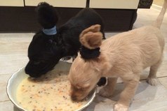 Чтобы ушки на запачкать.