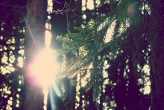 Искусство быть мудрым состоит в умении знать, на что не следует обращать внимания.