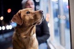 Мы не столько нуждаемся в помощи друзей, сколько в уверенности, что мы её получим.