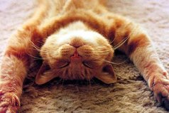 Время, потерянное с удовольствие, не считается потерянным. 