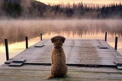 Уважения заслуживают те люди, которые независимо от ситуации, времени и места, остаются такими же, какие они есть на самом деле.