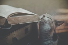 Запах имеет большое значение. Если вам нравится, как от кого-то пахнет, значит, вам нравится и сам человек.