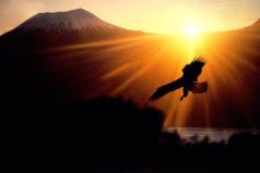 Иметь веру — это почти то же самое, что иметь крылья.