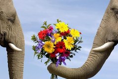 Красив тот, кто красиво поступает...