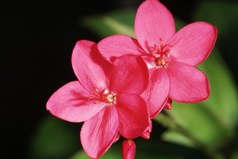 Кто хочет честно пройти свою жизнь, должен в молодости иметь в виду, что когда-нибудь он будет стариком, а в старости помнить, что и он когда-то был молод...