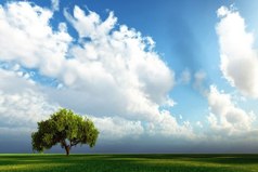 Чужая жизнь, как чужие окна… Даже, если на подоконнике цветы, это еще не значит, что внутри рай…