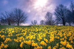 Никогда не вешай нос и не опускай низко голову! Иначе дорогу под ногами не разглядишь, и пройдешь важный в жизни поворот…