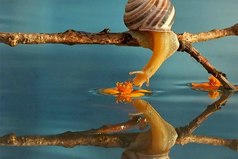 Если есть у тебя для жилья закуток – В наше подлое время – и хлеба кусок, Если ты никому не слуга, не хозяин – Счастлив ты и во истину духом высок...