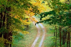 Жизнь — гора: поднимаешься медленно, спускаешься быстро...