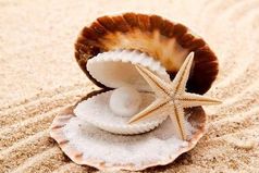 То, что обычному человеку кажется камнем, для знающего является жемчужиной...