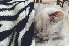 Боль - это когда берешь часы, чтобы посмотреть сколько тебе осталось поспать, а до будильника 1 минута.