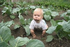 Что я тут делаю? - Сестренку себе ищу.