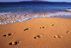 Жизнь чем-то похожа на шведский стол. Кто-то берет от нее столько, сколько хочет, другие — сколько могут. Кто-то — сколько совесть позволяет, другие — сколько наглость. Но правило для всех одно — с собой ничего уносить нельзя!