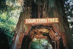 Мы без памяти влюбляемся в то место, где забывали о всех проблемах.