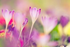 Лучший учитель в нашей жизни – сама жизнь, поскольку ее уроки невозможно прогулять.