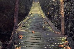 Жизнь человека — это череда определенных выборов. Выбирай правильно.