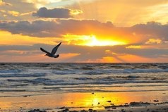 Вы просто подумайте о чем-нибудь хорошем, ваши мысли сделают вас легкими и вы взлетите.