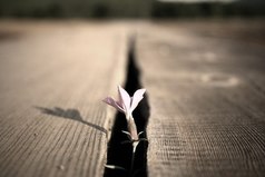 Позволь себе дышать полной грудью и не загоняй себя в рамки. Сила у того, кто верит в свою силу.