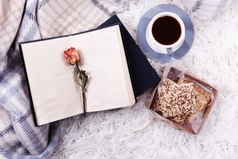 Литература является самым приятным способом игнорирования жизни.