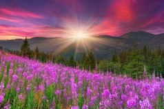 Держи дом в чистоте так, как-будто ждешь гостей. Держи сердце в чистоте так, как-будто ожидаешь смерти.