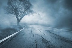 Не смотри в прошлое с тоской. Оно не вернется. Мудро распорядись настоящим. Оно твое. Иди вперед, навстречу туманному будущему, без страха и с мужественным сердцем.