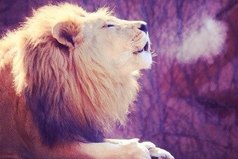 Момент терпения в минуту гнева, предотвращает тысячи моментов сожаления.